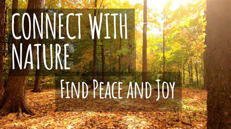 Eco Conscious Calm: Mindful Choices for Environmental and Mental Harmony