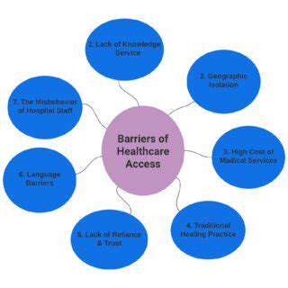 IdentifyingandAddressingSystemicBarrierstoAccess