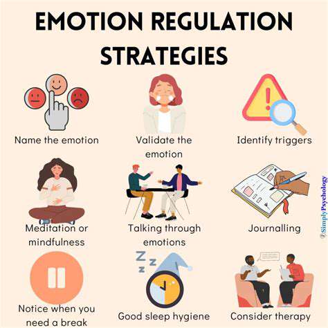 PersonalizedStrategiesforEmotionalRegulation:TailoringTechniquestoIndividualNeeds