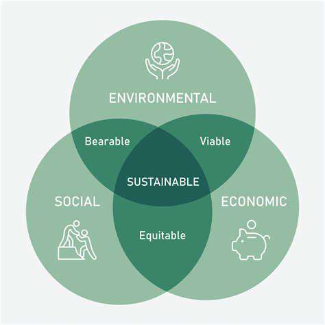 Community Based Mental Health Initiatives: Lessons from Sustainable Programs