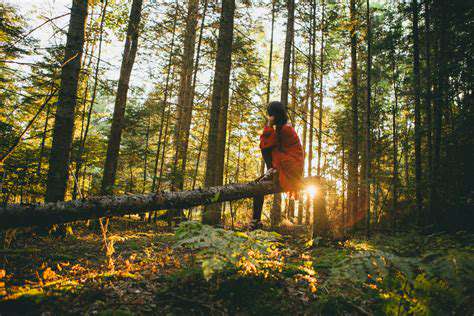 Green Wellness Retreats: Sustainable Sanctuaries for Mental Renewal