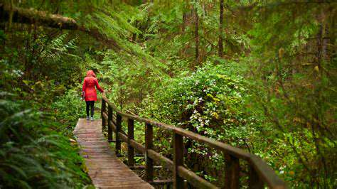 TheGrowingTrendofForestTherapy